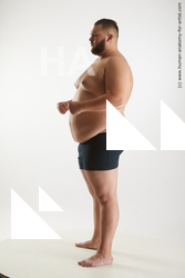 Underwear Man White Standing poses - ALL Overweight Short Brown Standing poses - simple Standard Photoshoot Academic