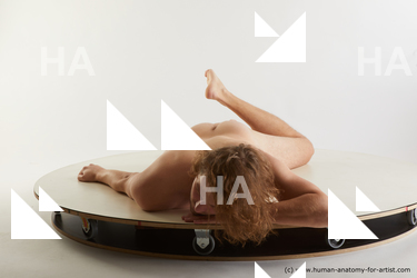 laying reference arvid 02