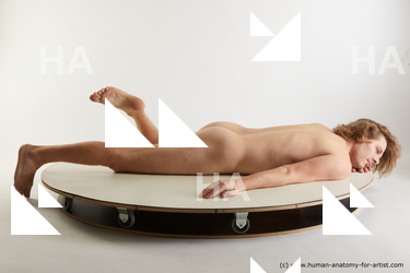 laying reference arvid 08