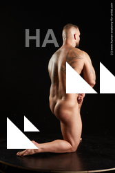 Nude Man White Kneeling poses - ALL Muscular Short Brown Kneeling poses - on one knee Standard Photoshoot Realistic