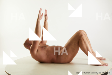 laying reference neeo 08