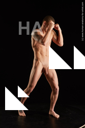 fighting reference max dior 08