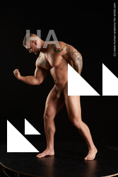Nude Man White Sitting poses - simple Muscular Short Brown Sitting poses - ALL Standard Photoshoot Realistic