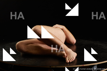 laying reference albin 01