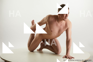 kneeling reference steve q 08