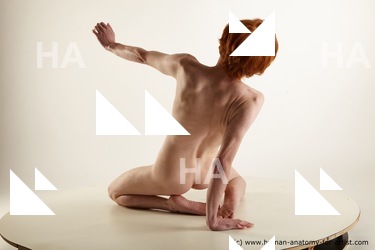 Nude Man White Kneeling poses - ALL Underweight Short Red Kneeling poses - on both knees Standard Photoshoot Realistic