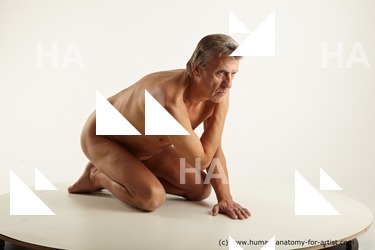 kneeling reference wendell 08