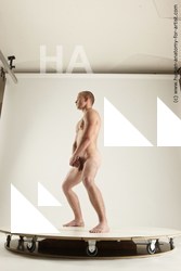 rex standing 01s 04c