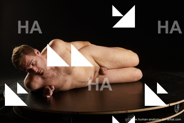 Nude Man White Laying poses - ALL Slim Short Brown Laying poses - on side Standard Photoshoot Realistic