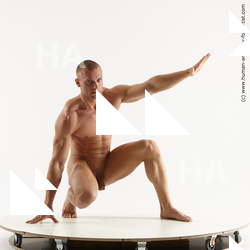 Nude Man White Kneeling poses - ALL Muscular Short Brown Kneeling poses - on one knee Standard Photoshoot Realistic