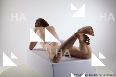 lying reference tony 03