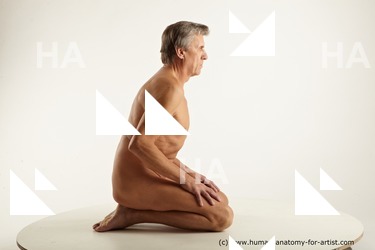 Nude Man White Kneeling poses - ALL Average Short Grey Kneeling poses - on both knees Standard Photoshoot Realistic