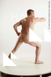 standing reference steve q 06