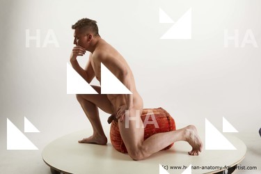 sitting reference steve q 03