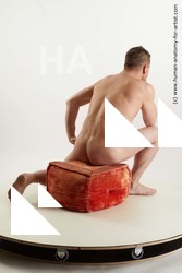 Nude Man White Sitting poses - simple Slim Short Brown Sitting poses - ALL Standard Photoshoot Realistic
