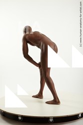 standing reference virgil 04