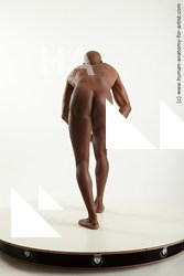 standing reference virgil 05