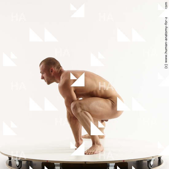 Nude Man White Kneeling poses - ALL Muscular Short Brown Kneeling poses - on one knee Standard Photoshoot Realistic