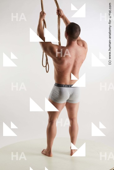 Underwear Man White Standing poses - ALL Muscular Short Brown Standing poses - simple Standard Photoshoot Academic