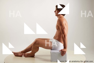 sitting reference lyle 03