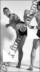 Fighting reference poses