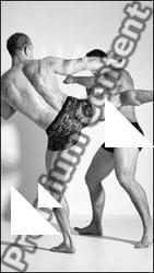 Fighting reference poses