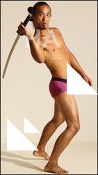 Traditional korean art Elmer