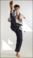 Fighting reference poses Lan