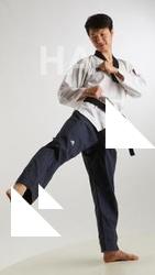 Fighting reference poses Lan