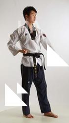 Fighting reference poses Lan