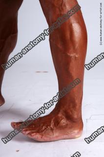 timotej requested 20