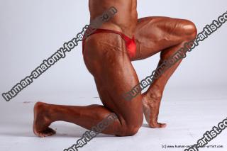 timotej requested 29