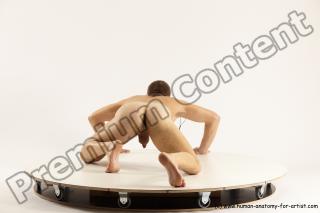 benadik fighting 53b