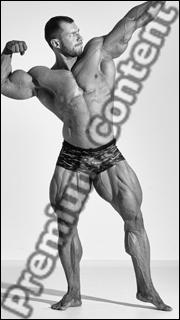 Bodybuilding reference poses of Ramon