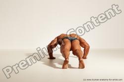 Bodybuilding reference poses of Ramon