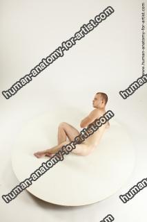 rex laying 04 05a