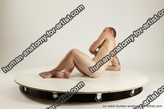 rex laying 04 05b