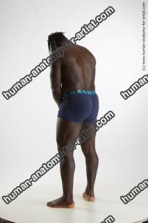 standing reference kato abimbo 04