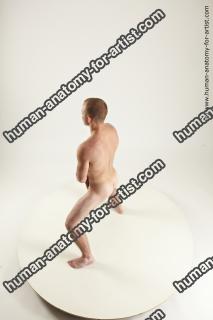 rex standing 01s 06a