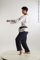 Fighting reference poses Lan
