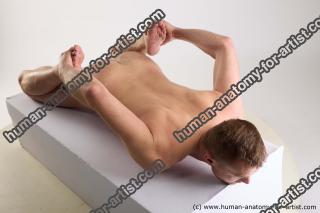 lying reference devon 10